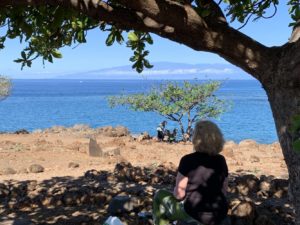 Hawaiian Healing Traditions Wellness Retreats & Programs - Lani